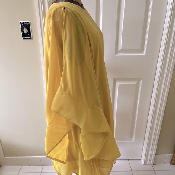 Beautiful Chiffon Dress or Top - Picture 1 of 8